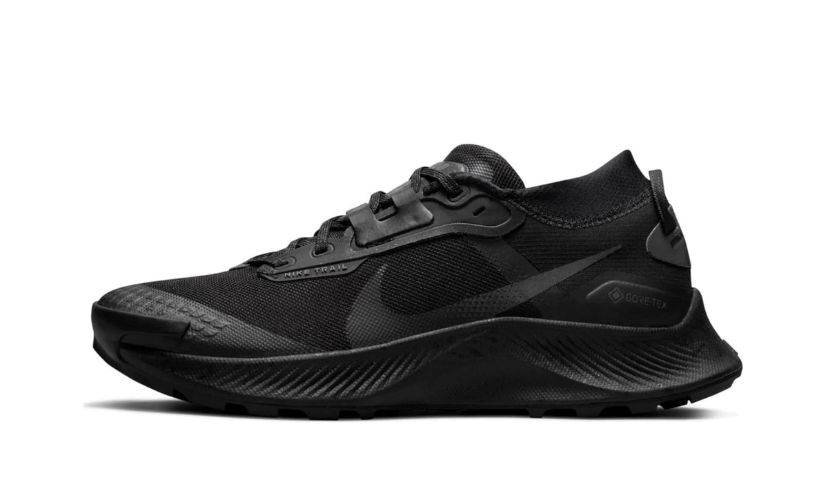 Pegasus Trail 3 Gore-Tex Wmns"Black" DC8794 001