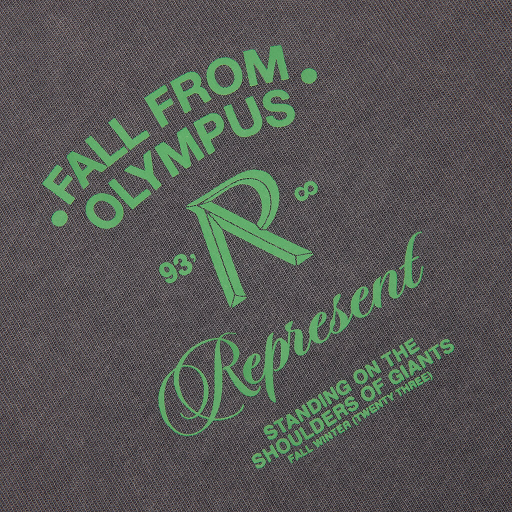 Fall From Olympus T Shirt Storm