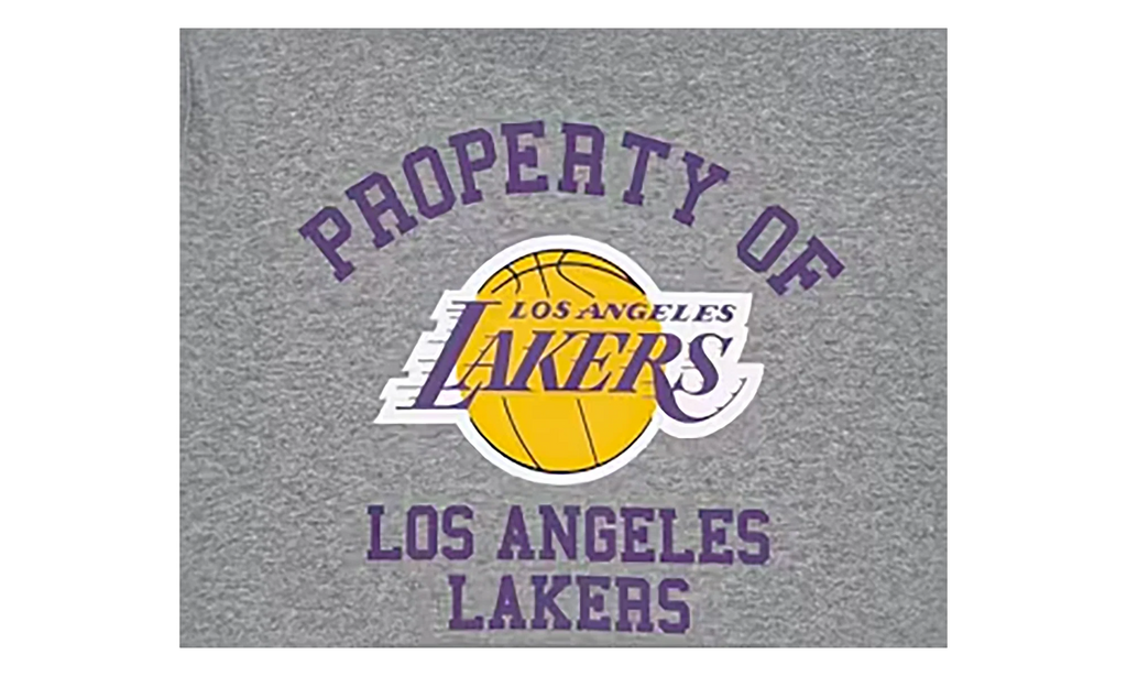 NBA Hoodie Los Angeles Lakers "Grey" EE173