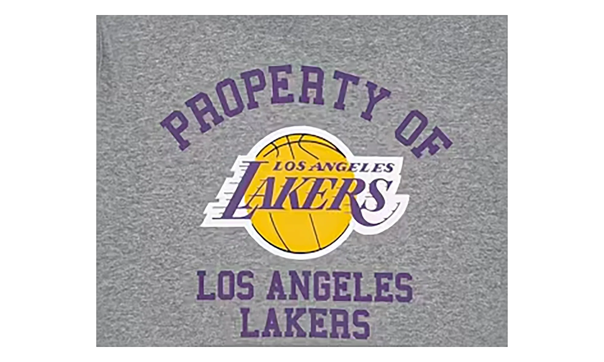 NBA Hoodie Los Angeles Lakers "Grey" EE173