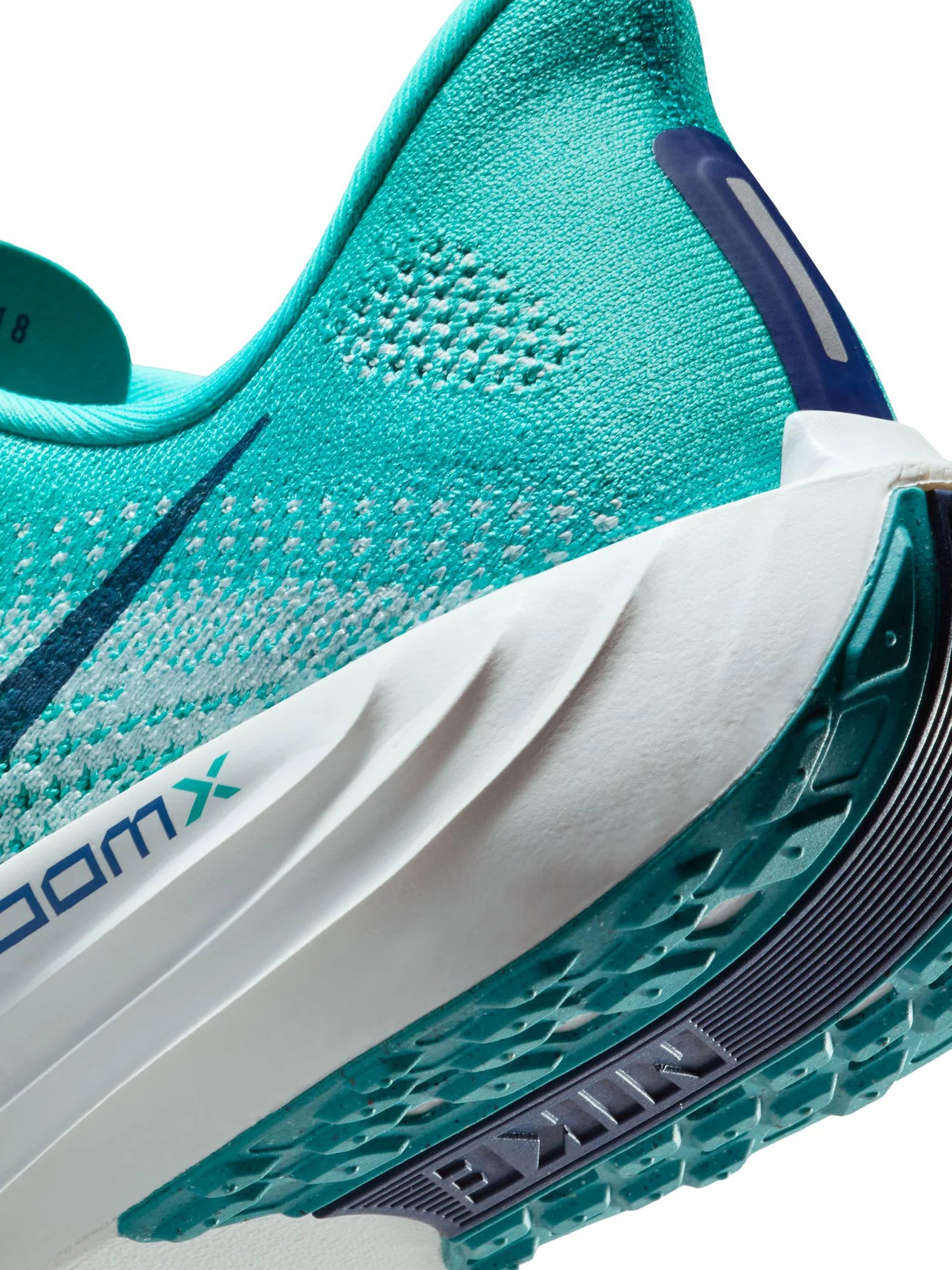 Nike Pegasus Plus Mens Shoes