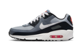 Air Max 90 GS "Wolf Gray / White" HF6358 007