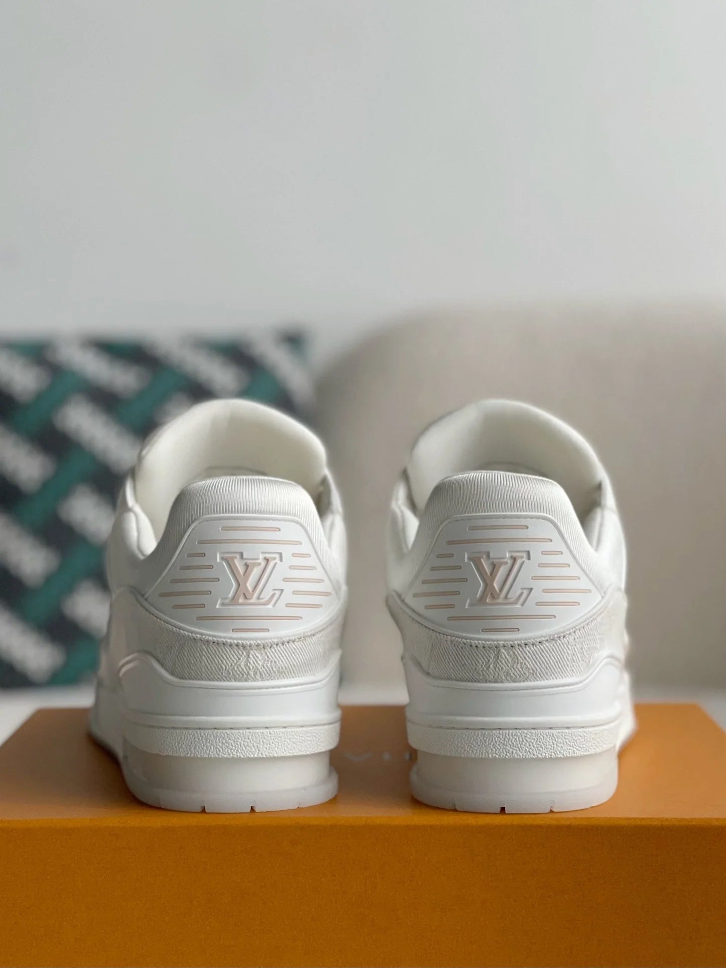 LV Trainer White