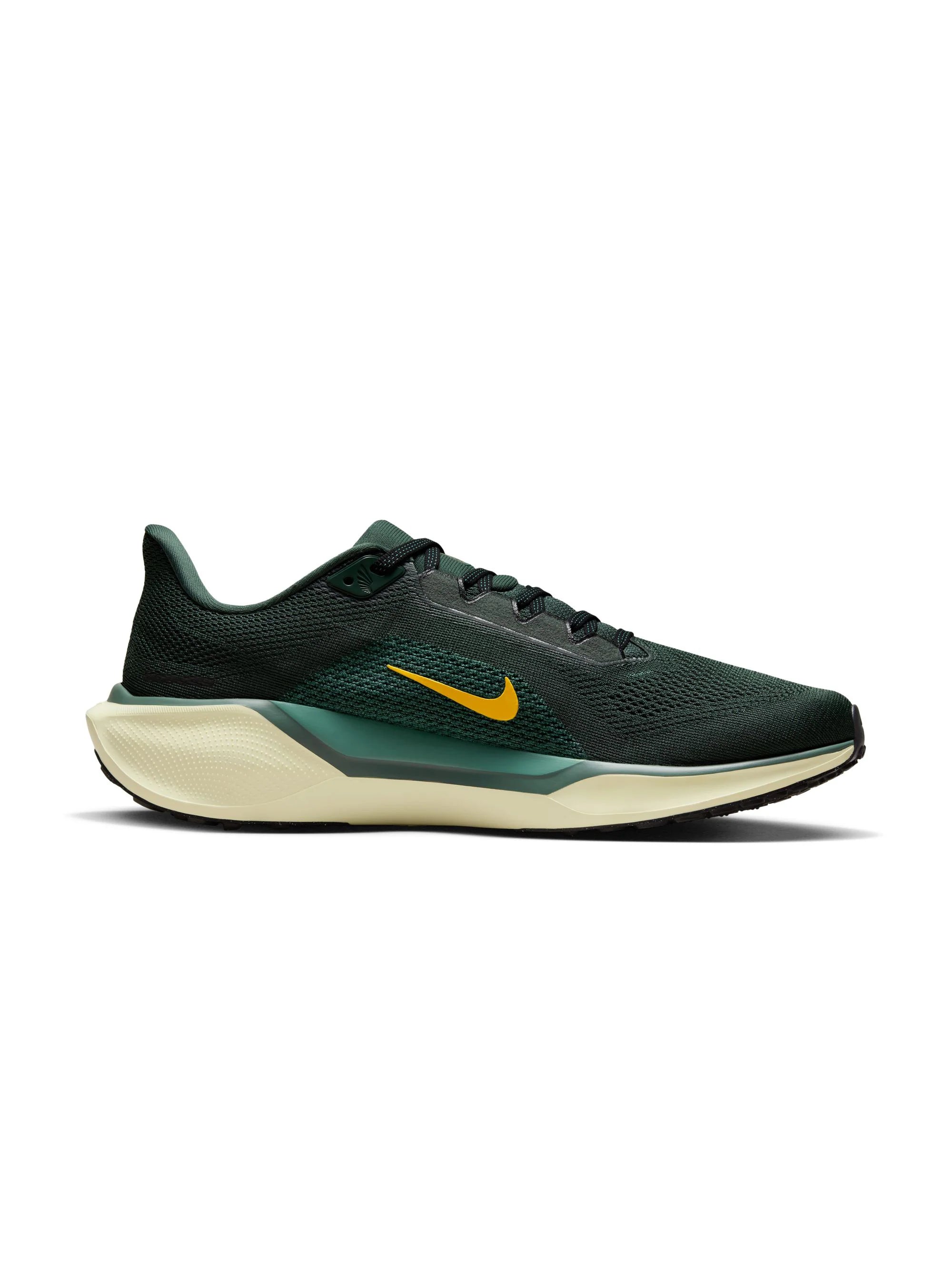 Nike Air Zoom Pegasus 41 Mens Shoes