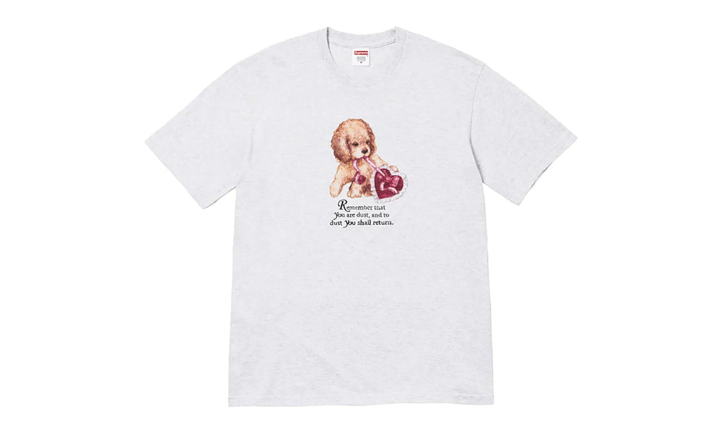 Dust Tee "FW25 - Ash Grey" SU26813
