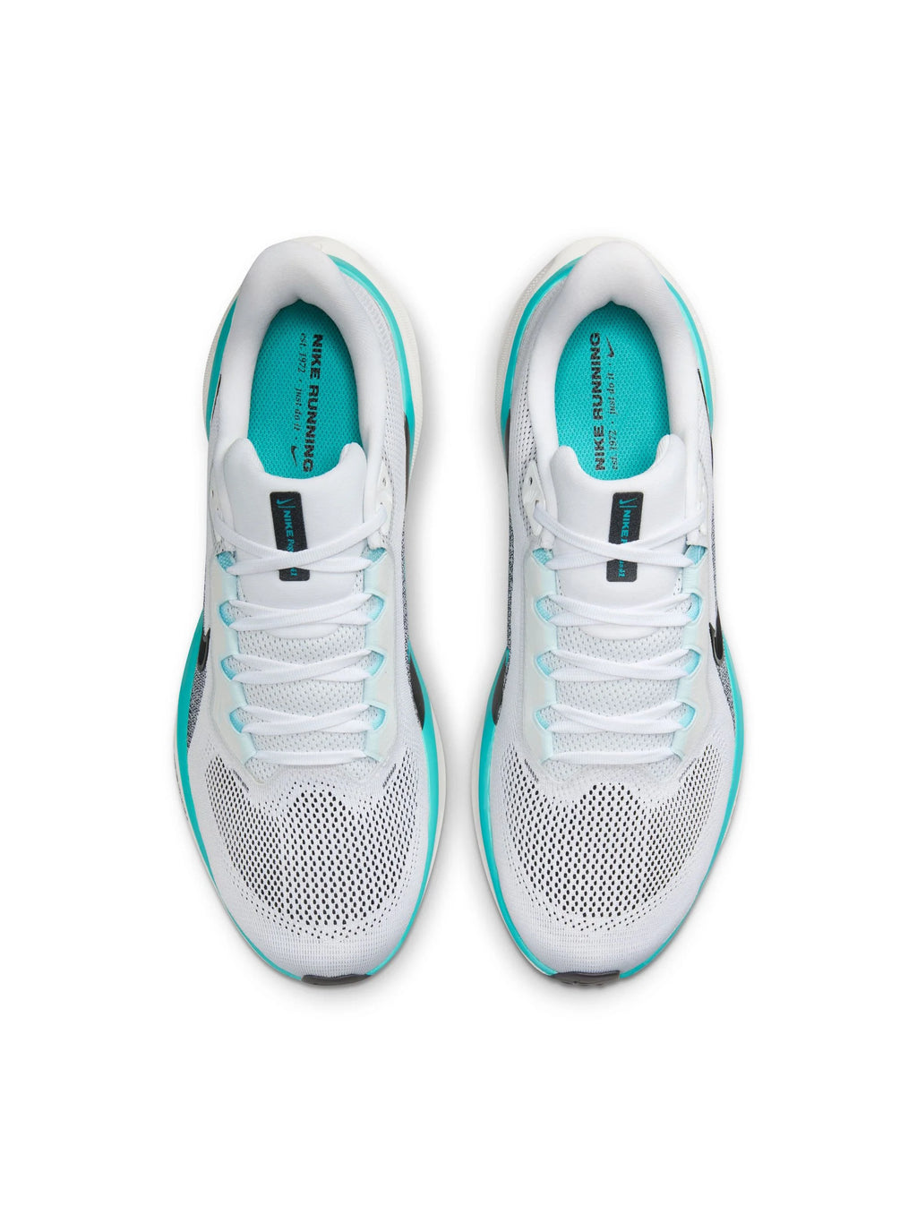 Nike Air Zoom Pegasus 41 Mens Shoes