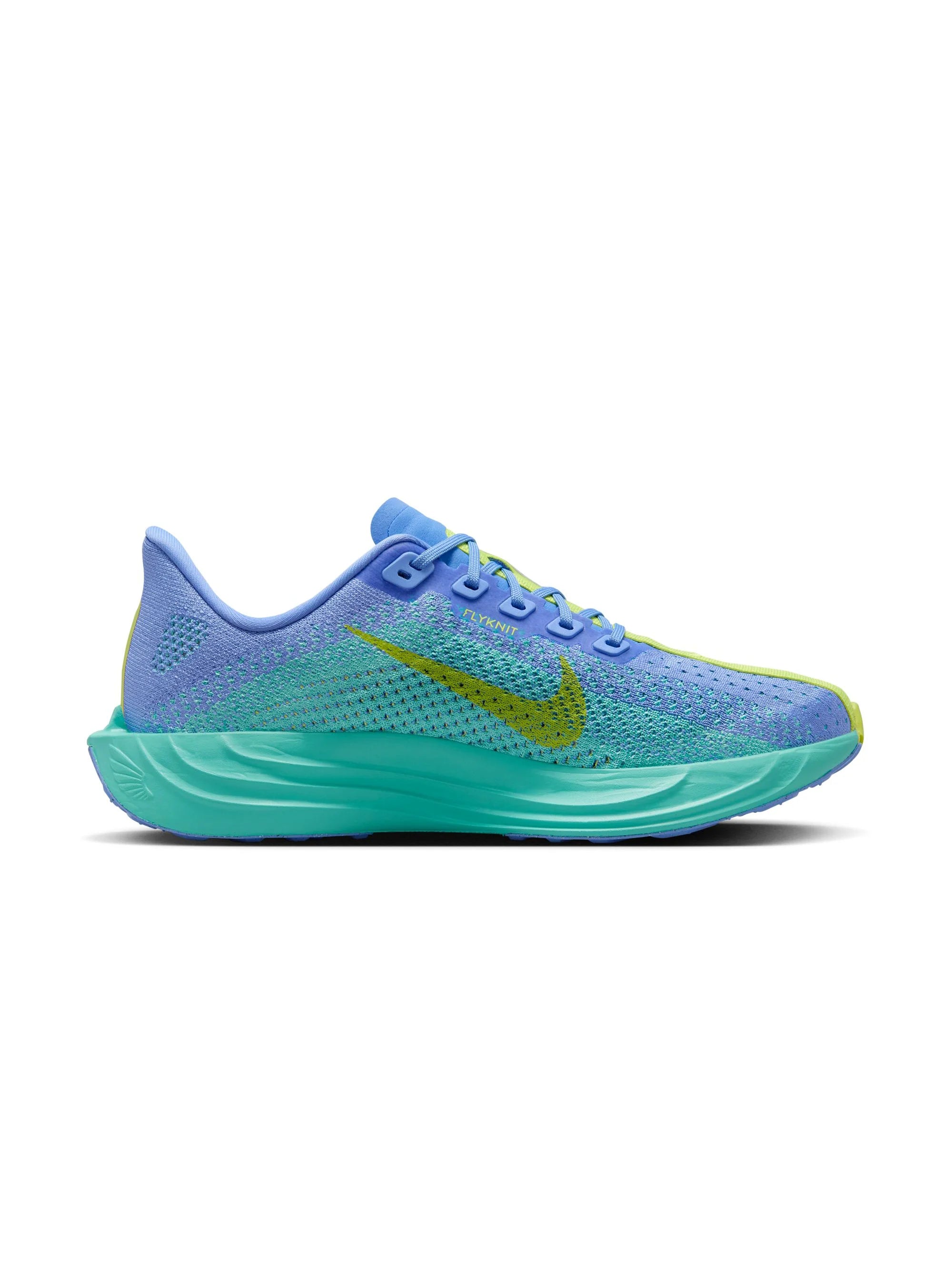 Nike Pegasus Plus Womens Shoes