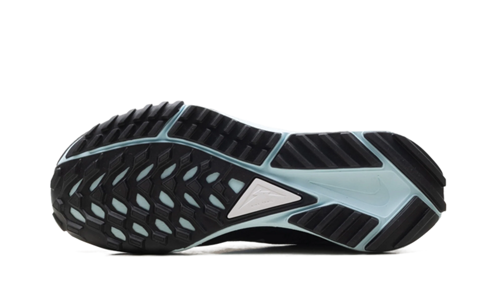 React Pegasus Trail 4 Gore-Tex WMNS "Light Smoke Grey Glacier Blue Football Grey Black" DJ7929 005