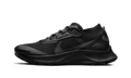 Pegasus Trail 3 Gore-Tex Wmns"Black" DC8794 001