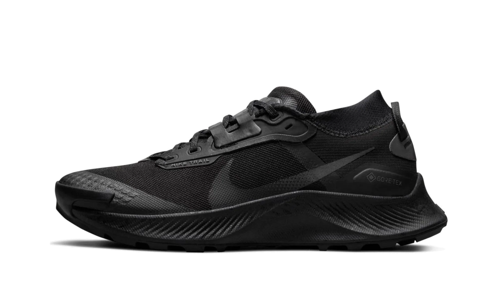 Pegasus Trail 3 Gore-Tex Wmns"Black" DC8794 001