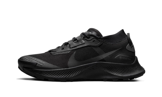 Pegasus Trail 3 Gore-Tex Wmns"Black" DC8794 001
