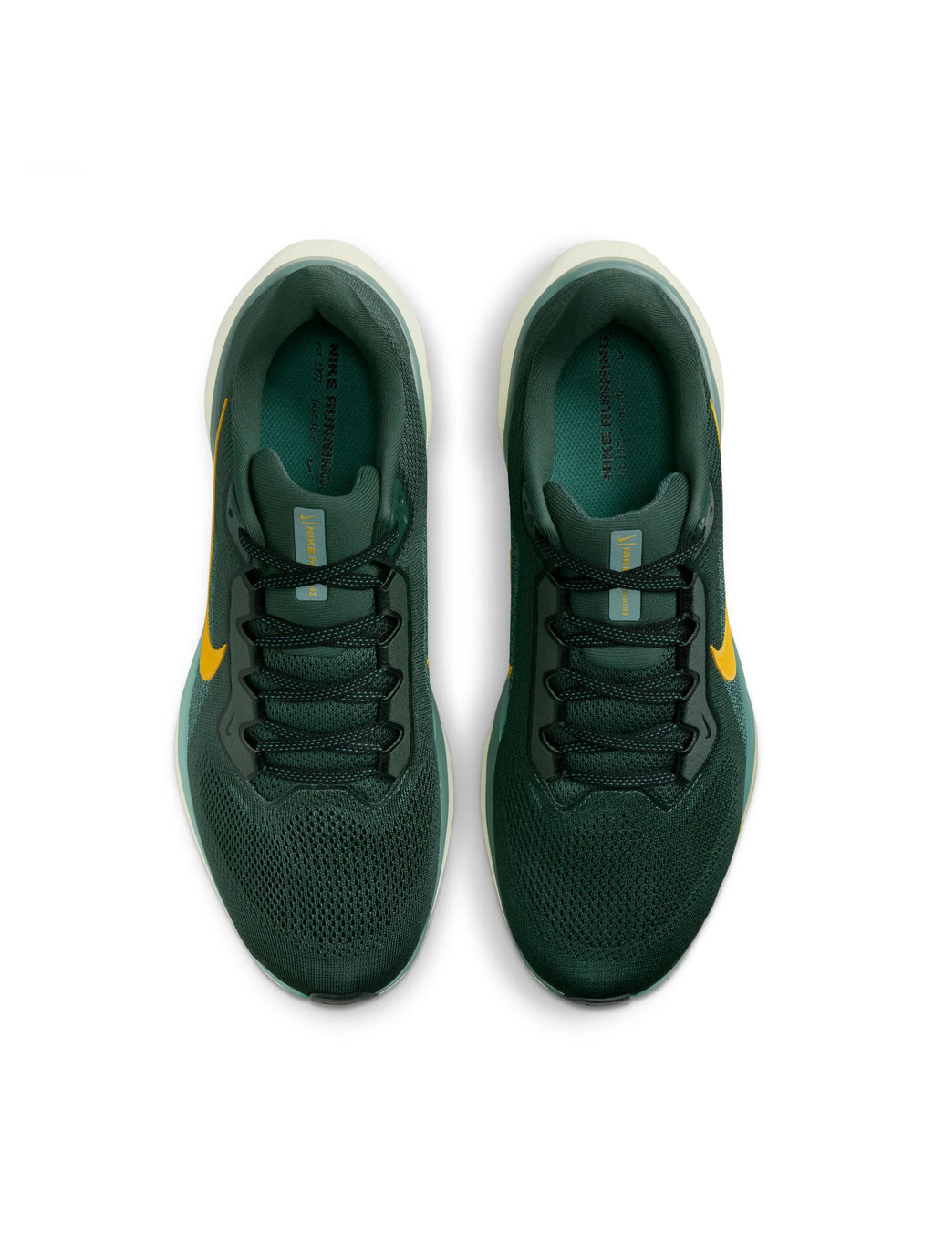 Nike Air Zoom Pegasus 41 Mens Shoes