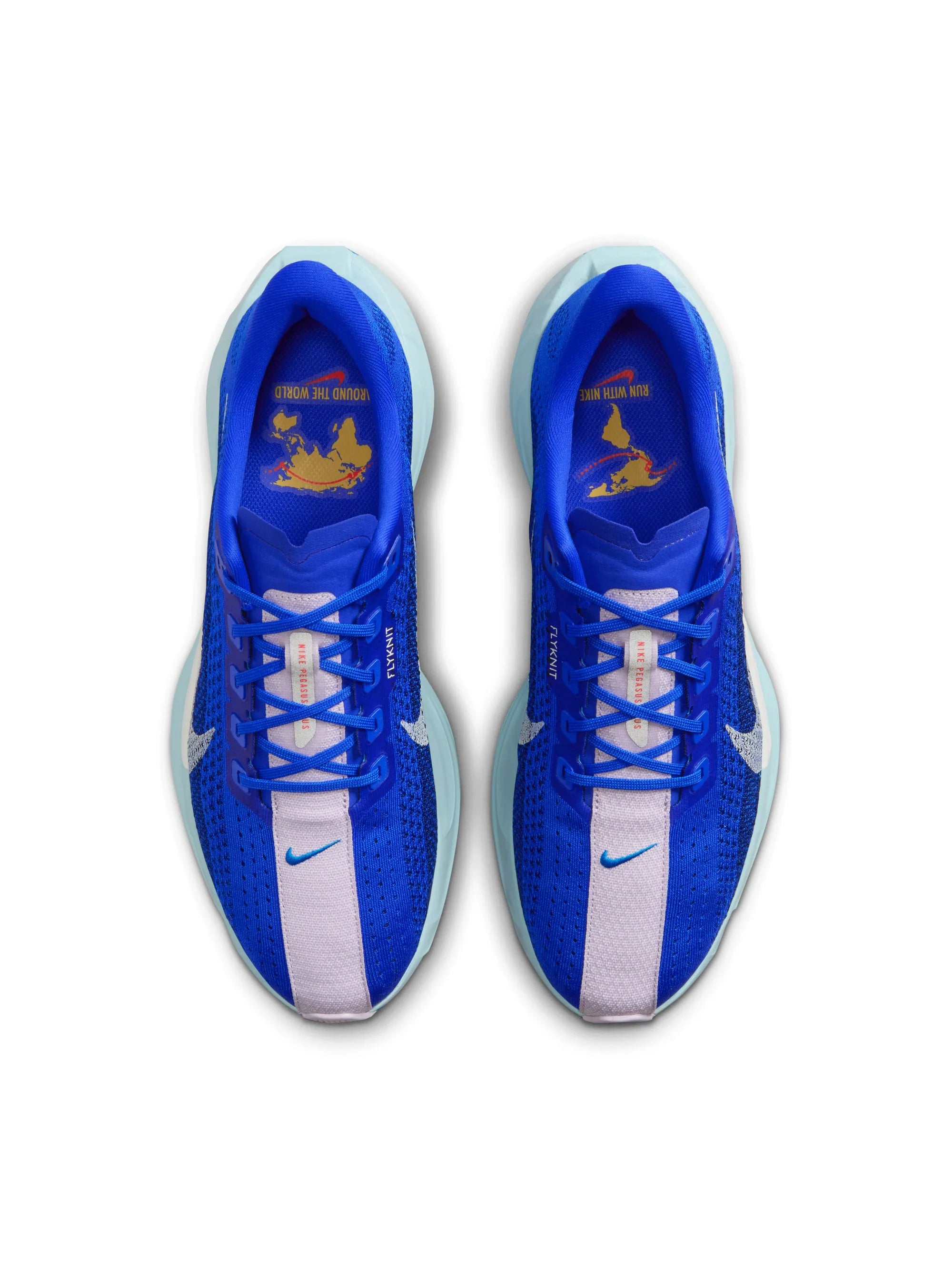 Nike Pegasus Plus Mens Shoes
