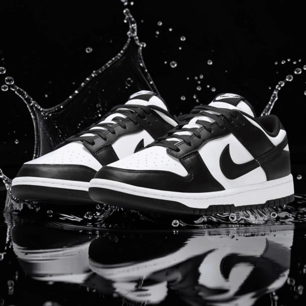 NK DUNK LOW