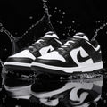 NK DUNK LOW