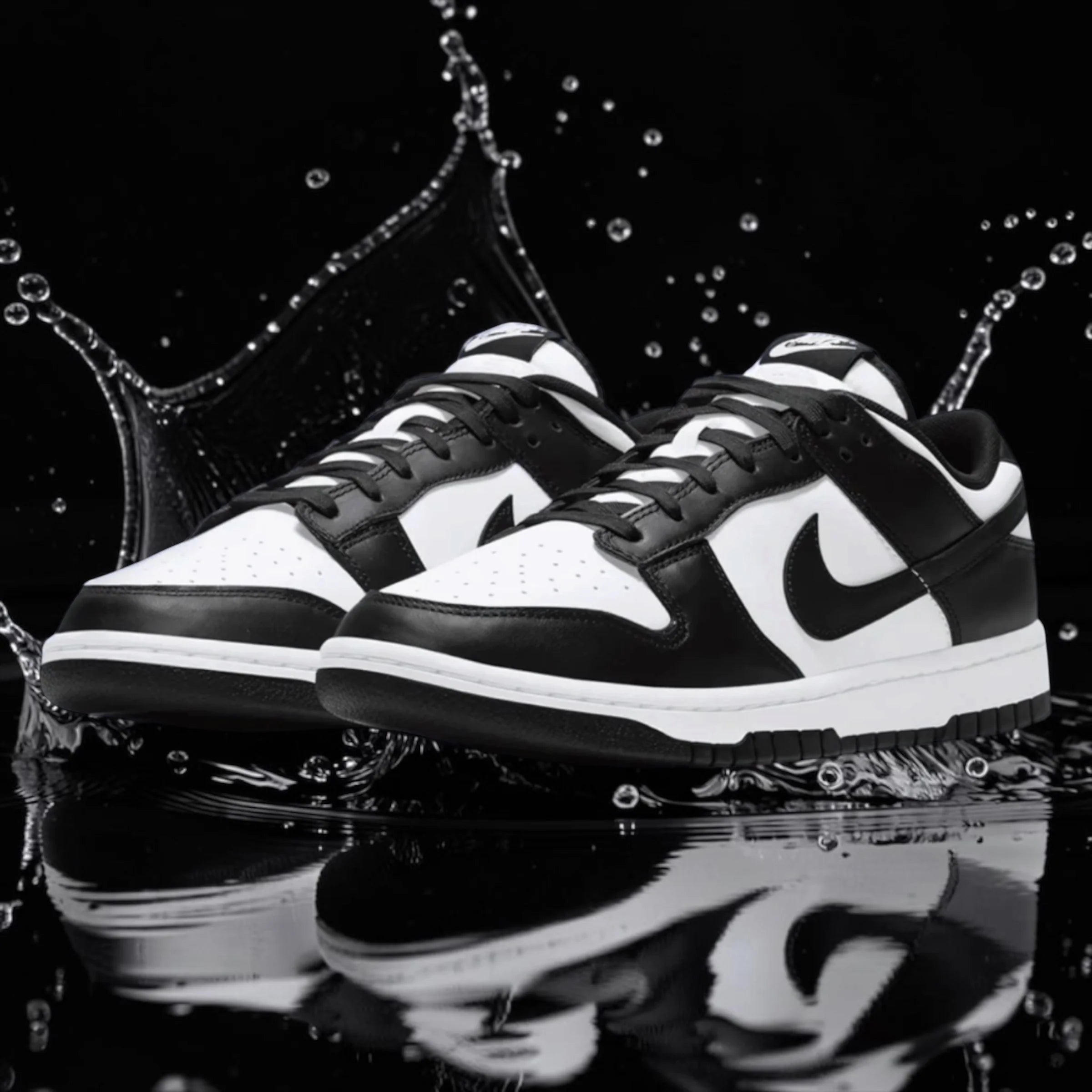 NK DUNK LOW