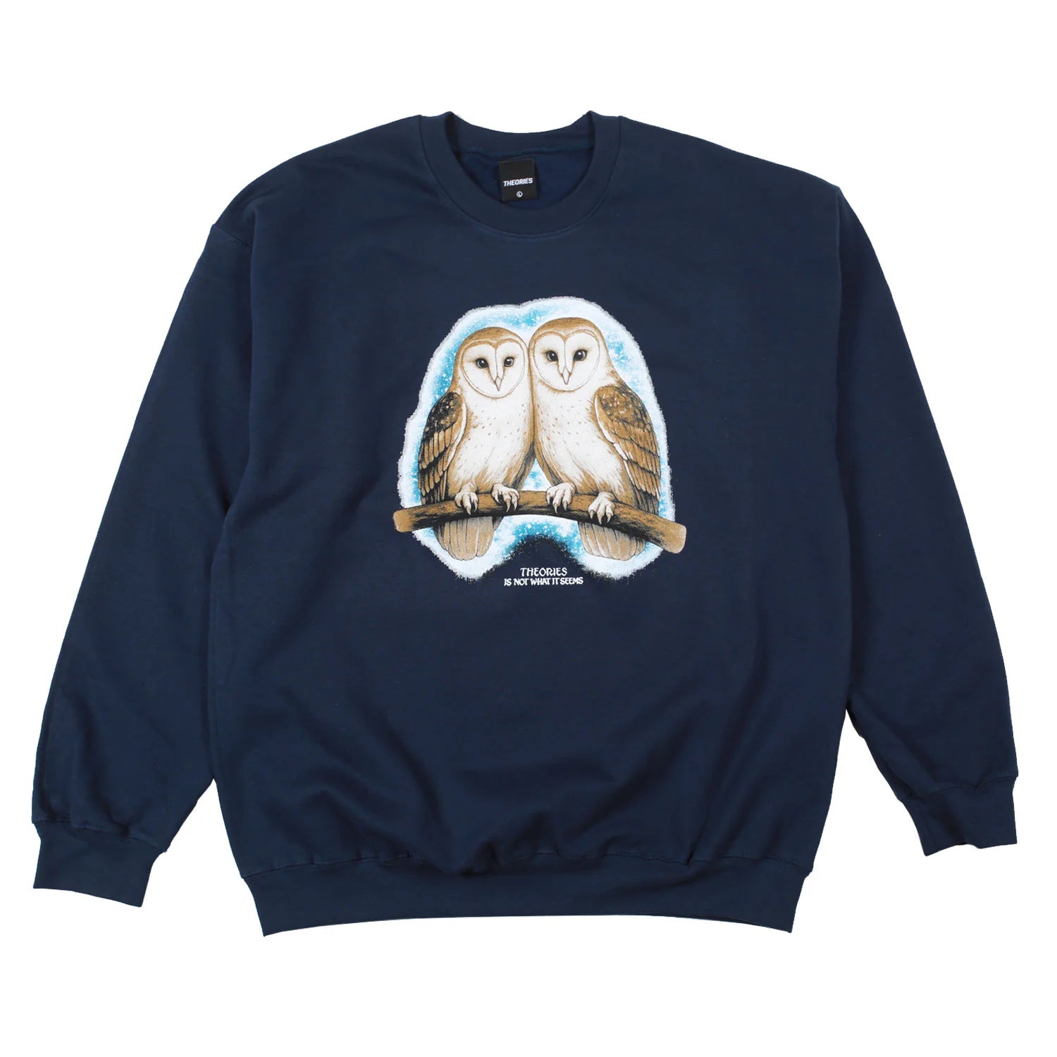 Theories Not What They Seem Crewneck Navy