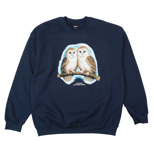 Theories Not What They Seem Crewneck Navy