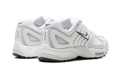 Air Pegasus 2005 WMNS"Summit White Photon Dust" HQ5718 103