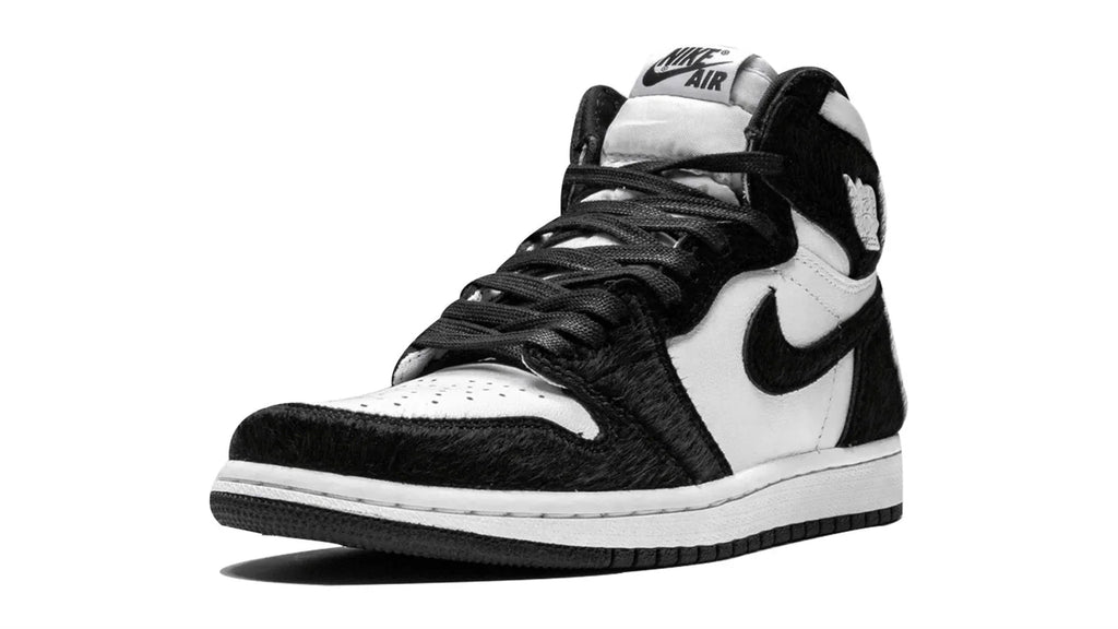 AIR JORDAN 1 RETRO HIGH OG WMNS Twist