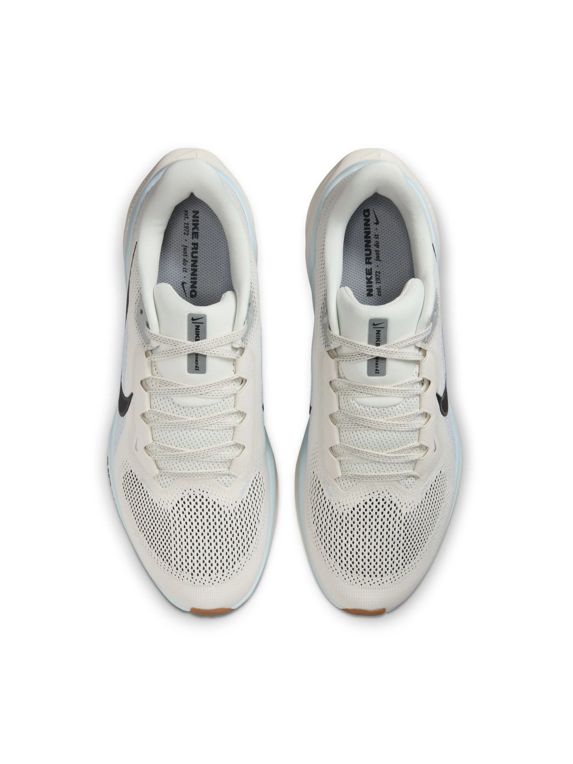 Nike Air Zoom Pegasus 41 Mens Shoes