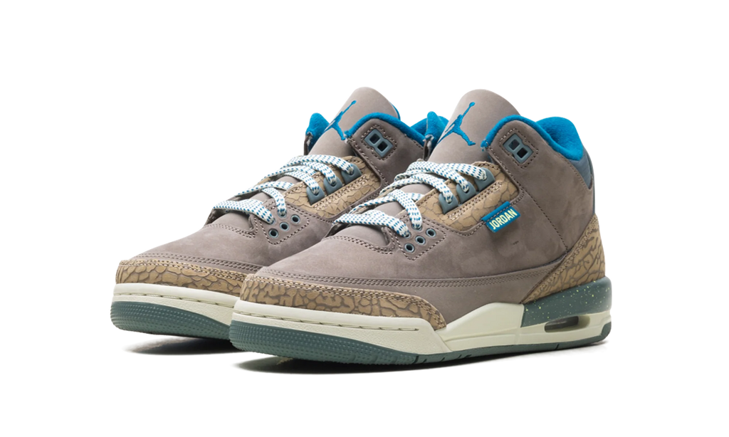 Air Jordan 3 GS "We Outside" IB7066 001