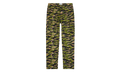 Cargo Pant TNP "Tiger Camo" 422622 98T