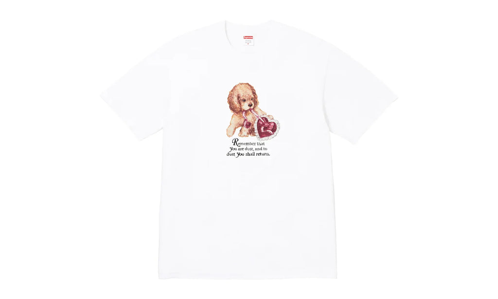 Dust Tee "FW25 - White" SU26817