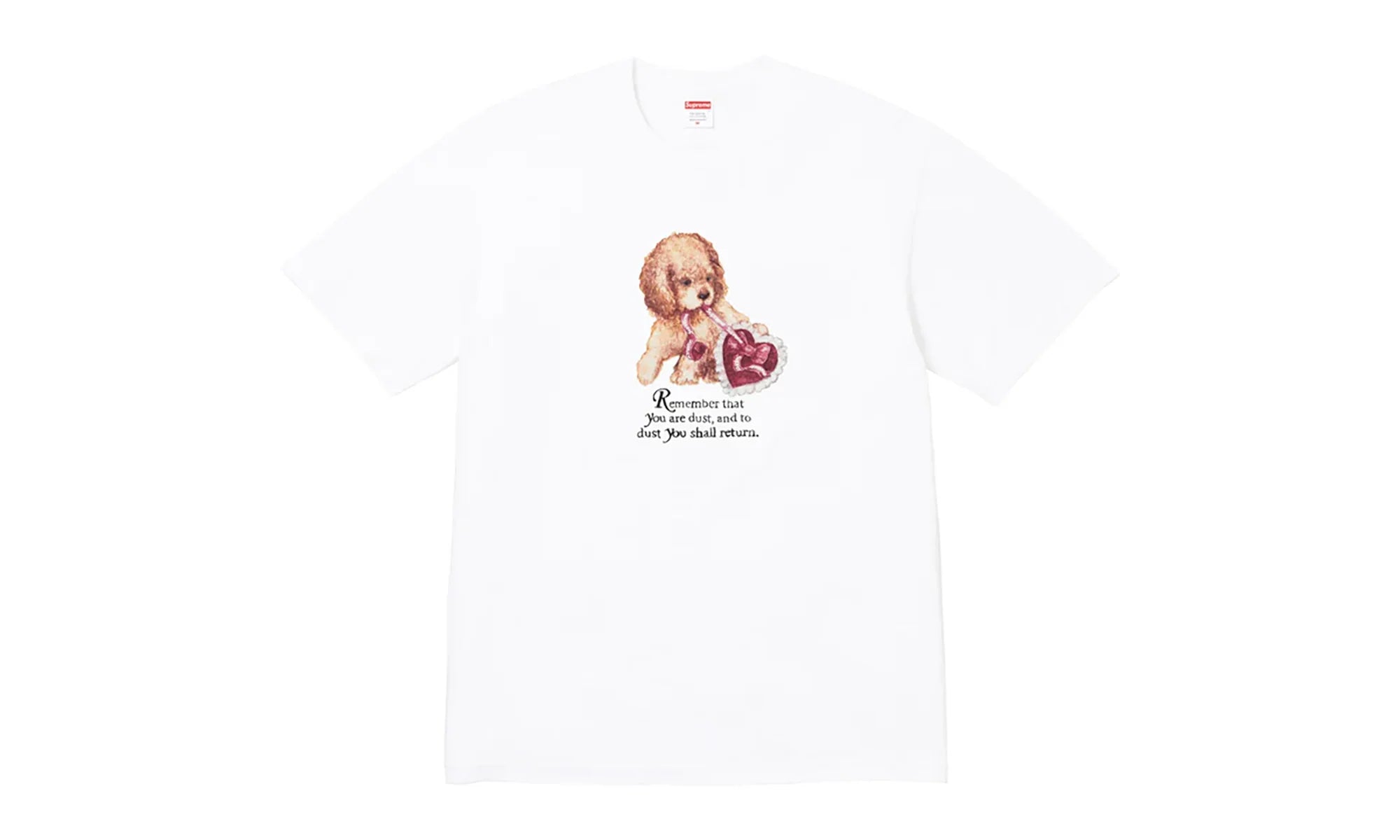 Dust Tee "FW25 - White" SU26817