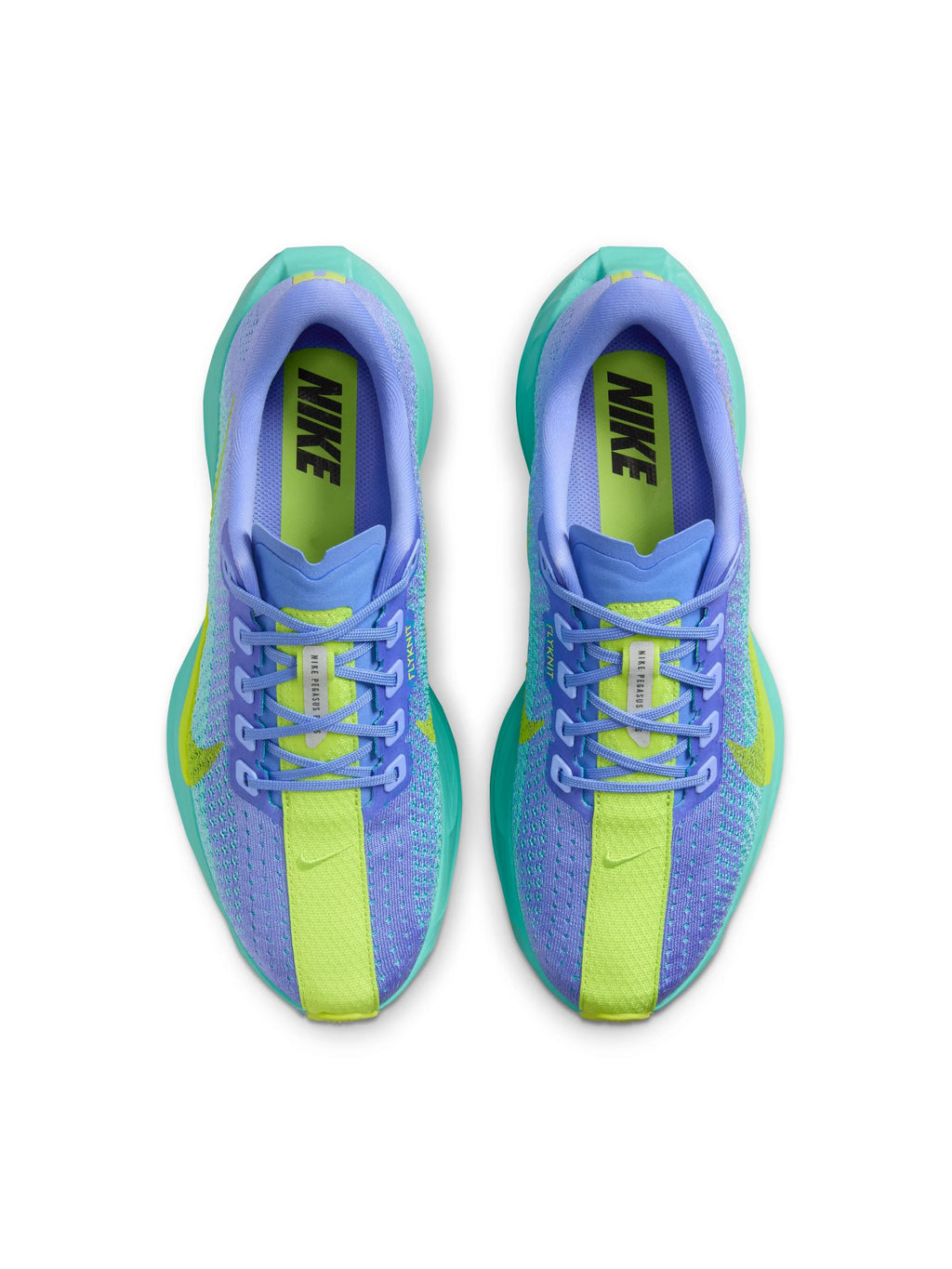Nike Pegasus Plus Womens Shoes