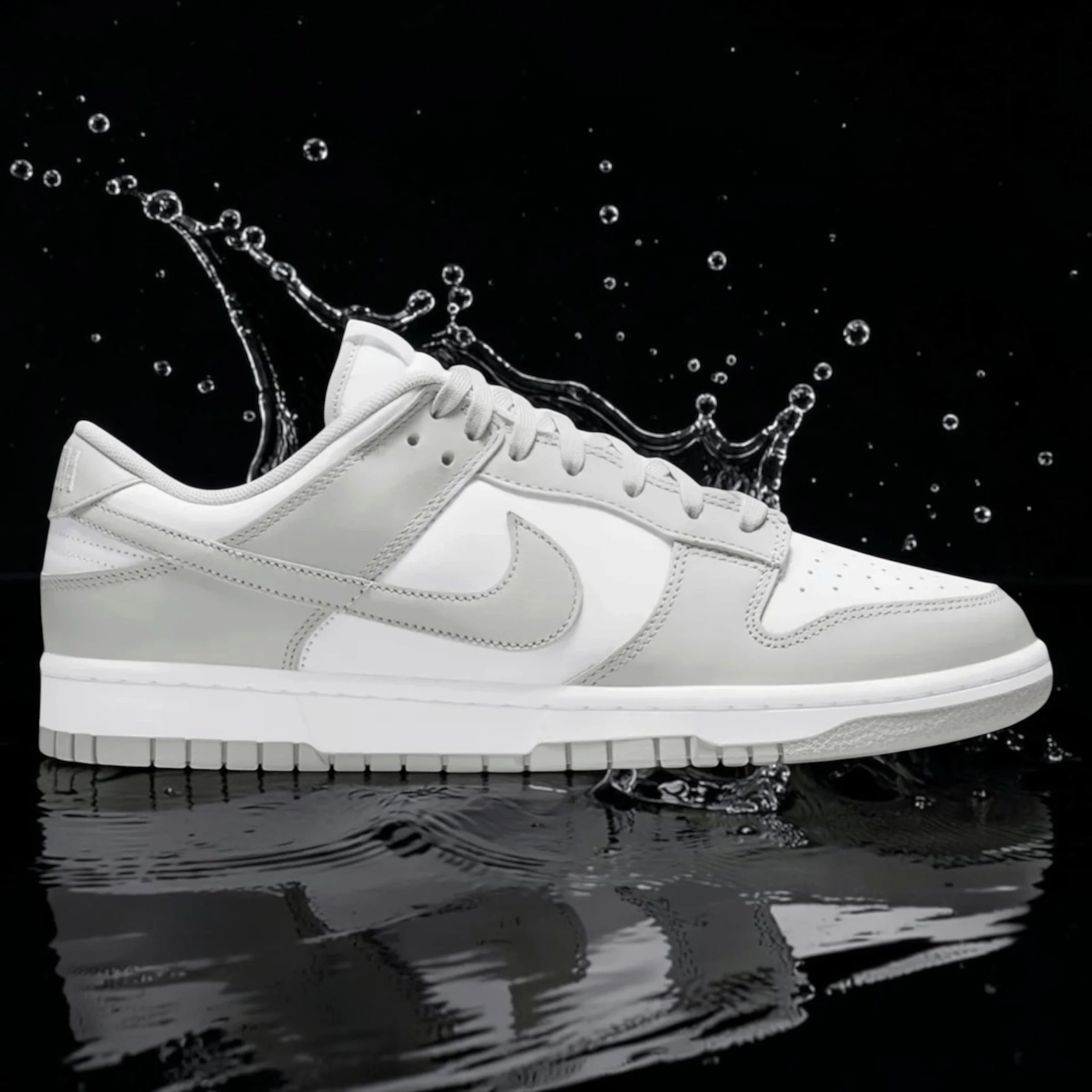 NK DUNK LOW