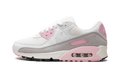Air Max 90 WMNS"SOFT PINK" FN7489 100
