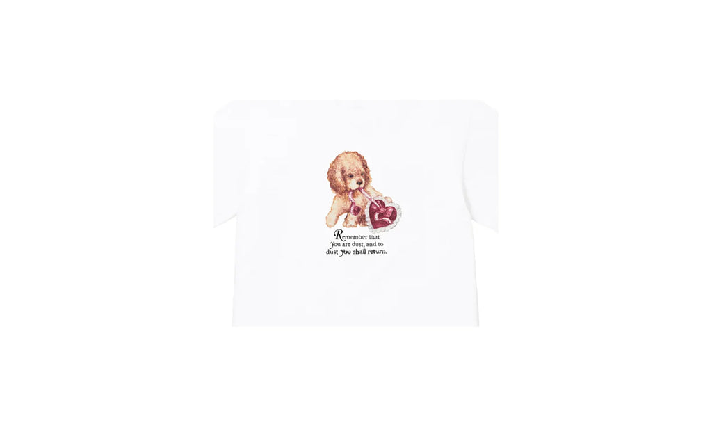 Dust Tee "FW25 - White" SU26817