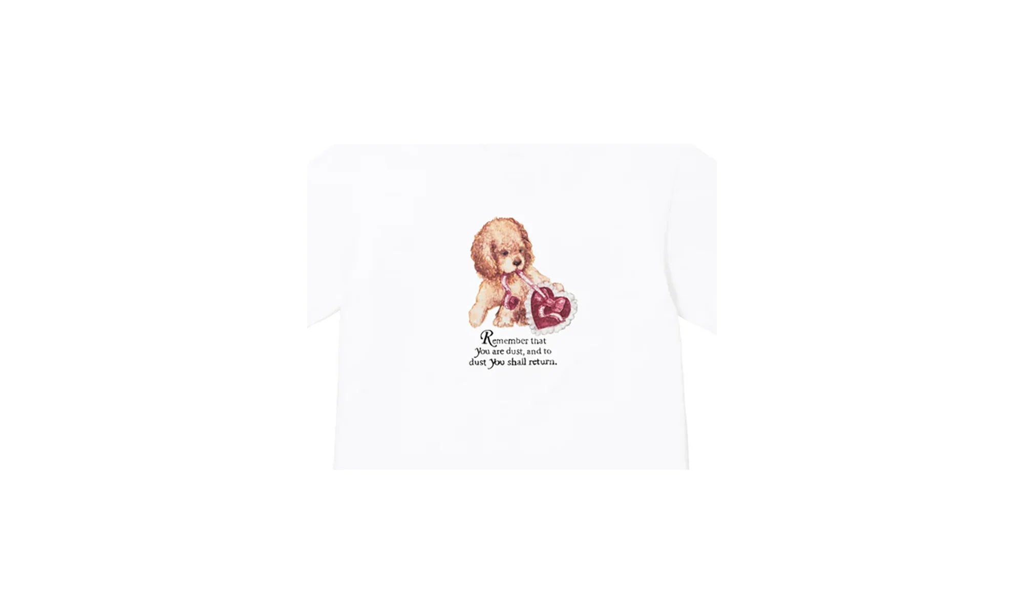 Dust Tee "FW25 - White" SU26817