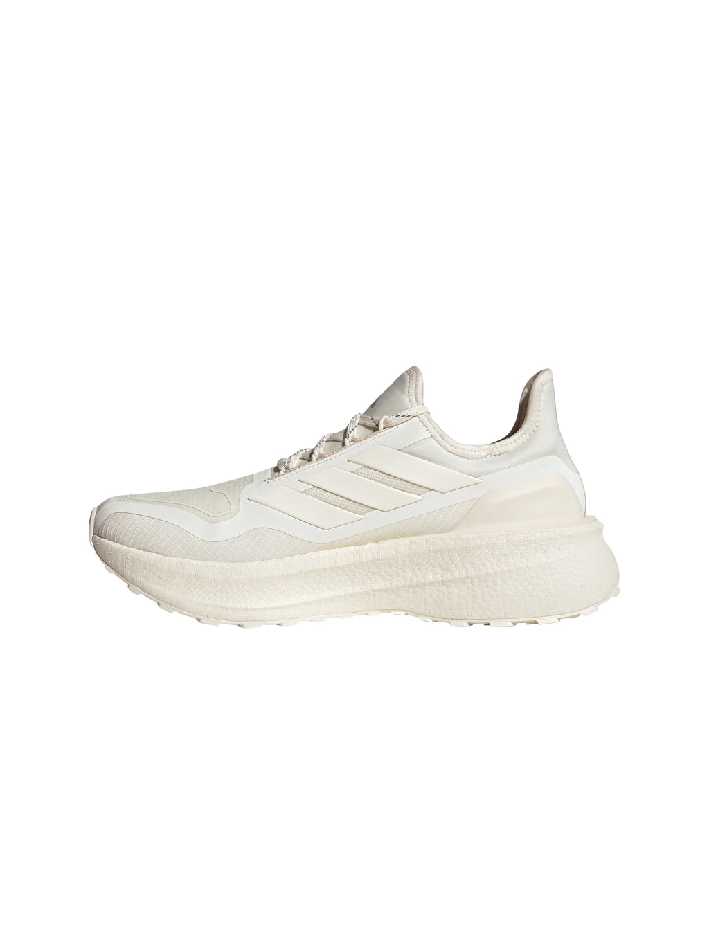 Adidas Ultraboost 5 GTX Womens Shoes