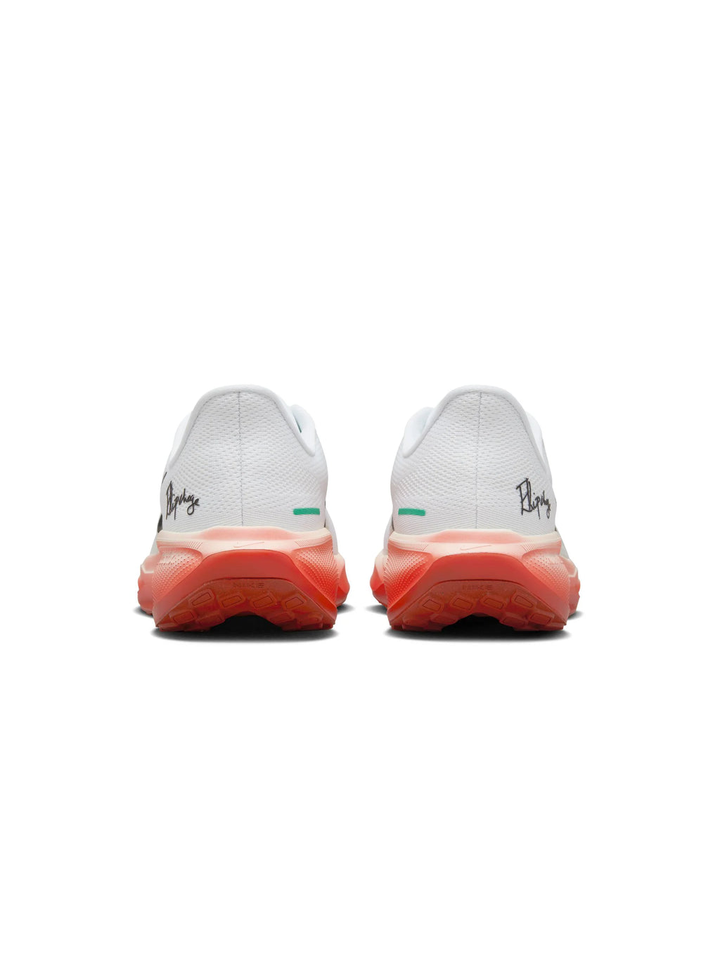 Nike Air Zoom Pegasus 41 Mens Shoes