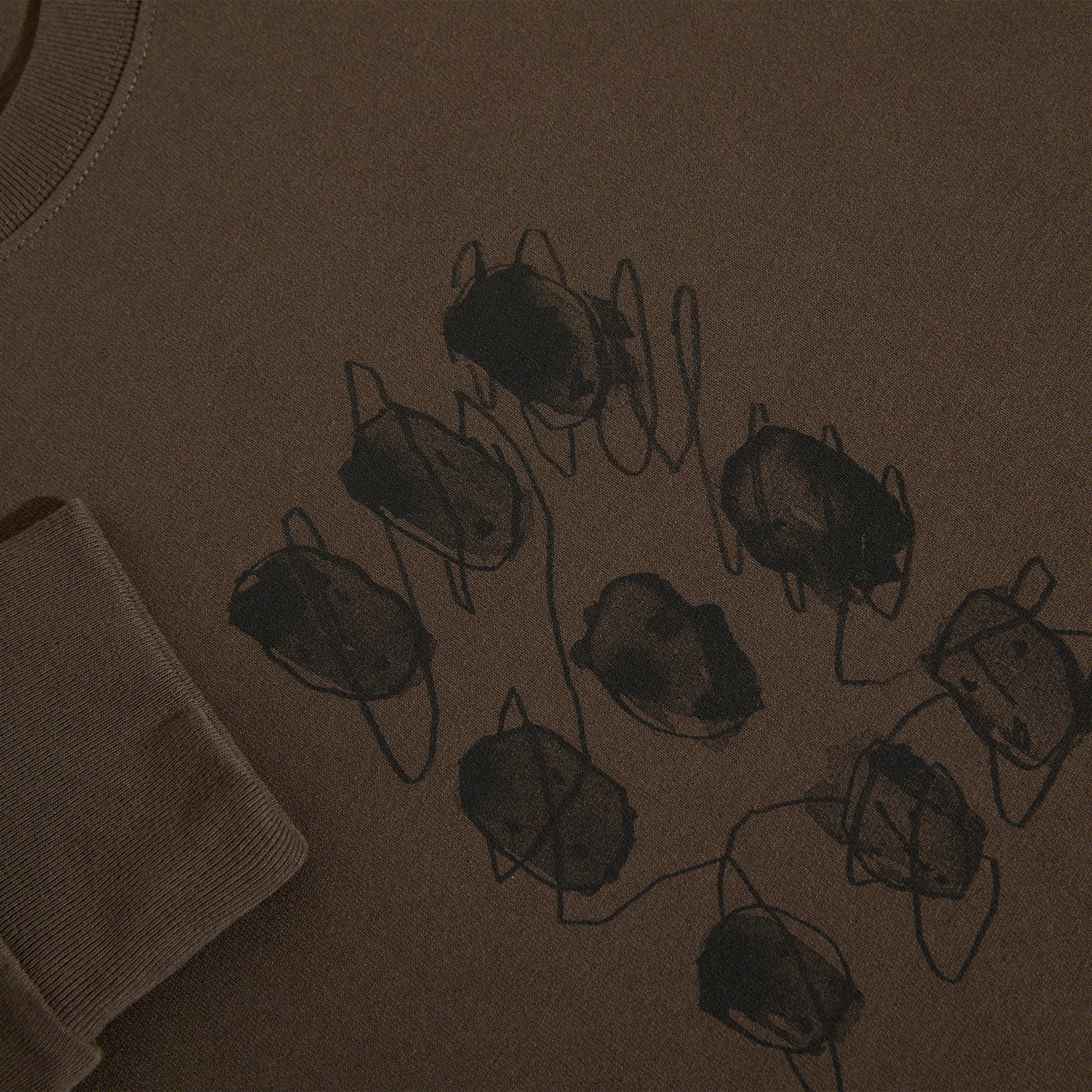 Polar Sequence Long Sleeve Tee Brown
