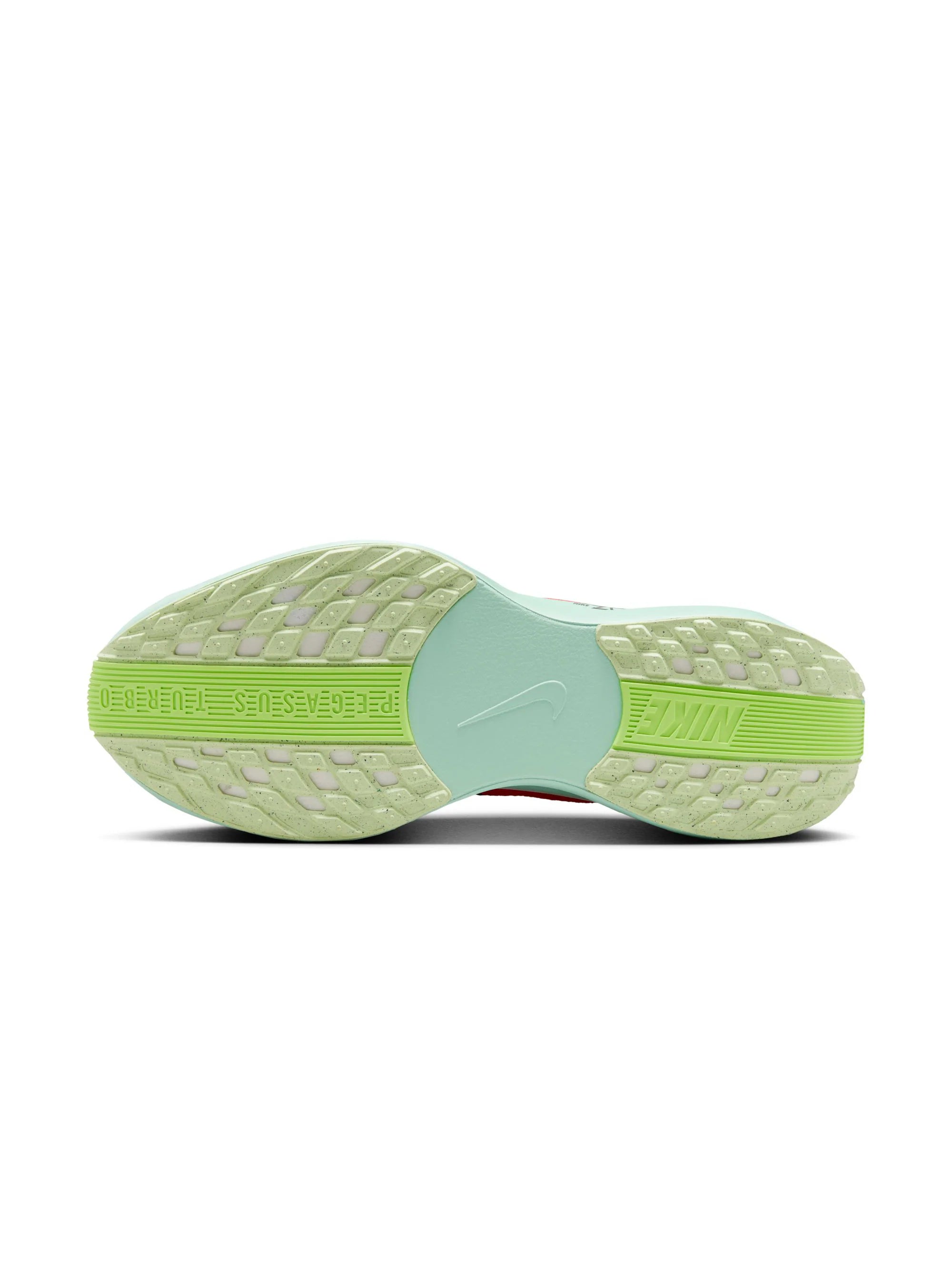 Nike Pegasus Plus Mens Shoes