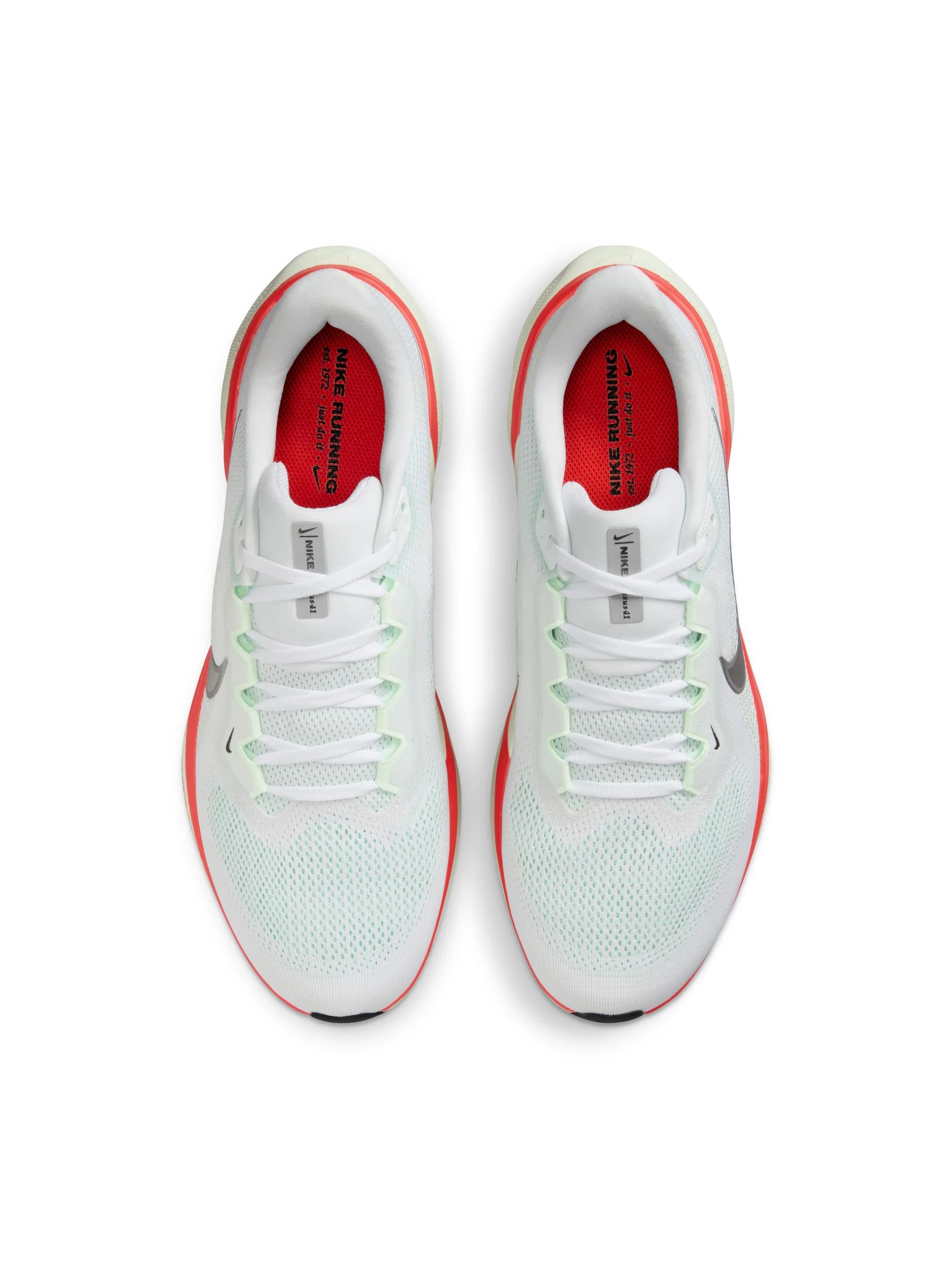 Nike Air Zoom Pegasus 41 Mens Shoes