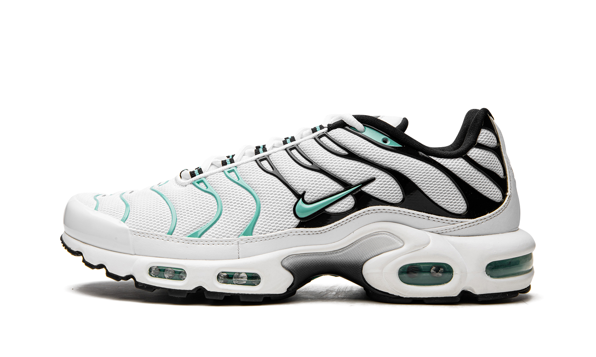 Air Max Plus "Atmos" 604133 148