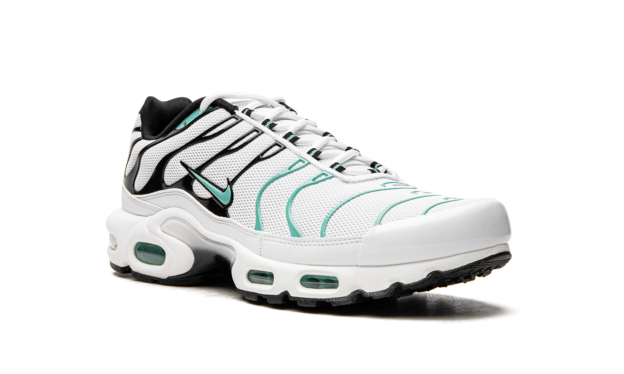 Air Max Plus "Atmos" 604133 148