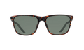 State Sunglasses "Velvet Brown / Night Forrest / Green" DV2290 220