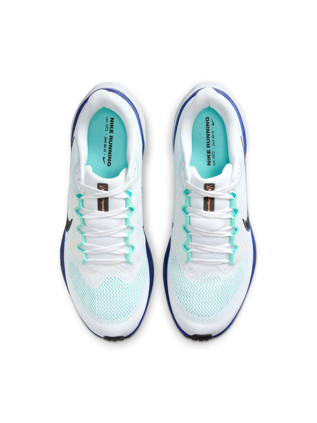 Nike Air Zoom Pegasus 41 Mens Shoes
