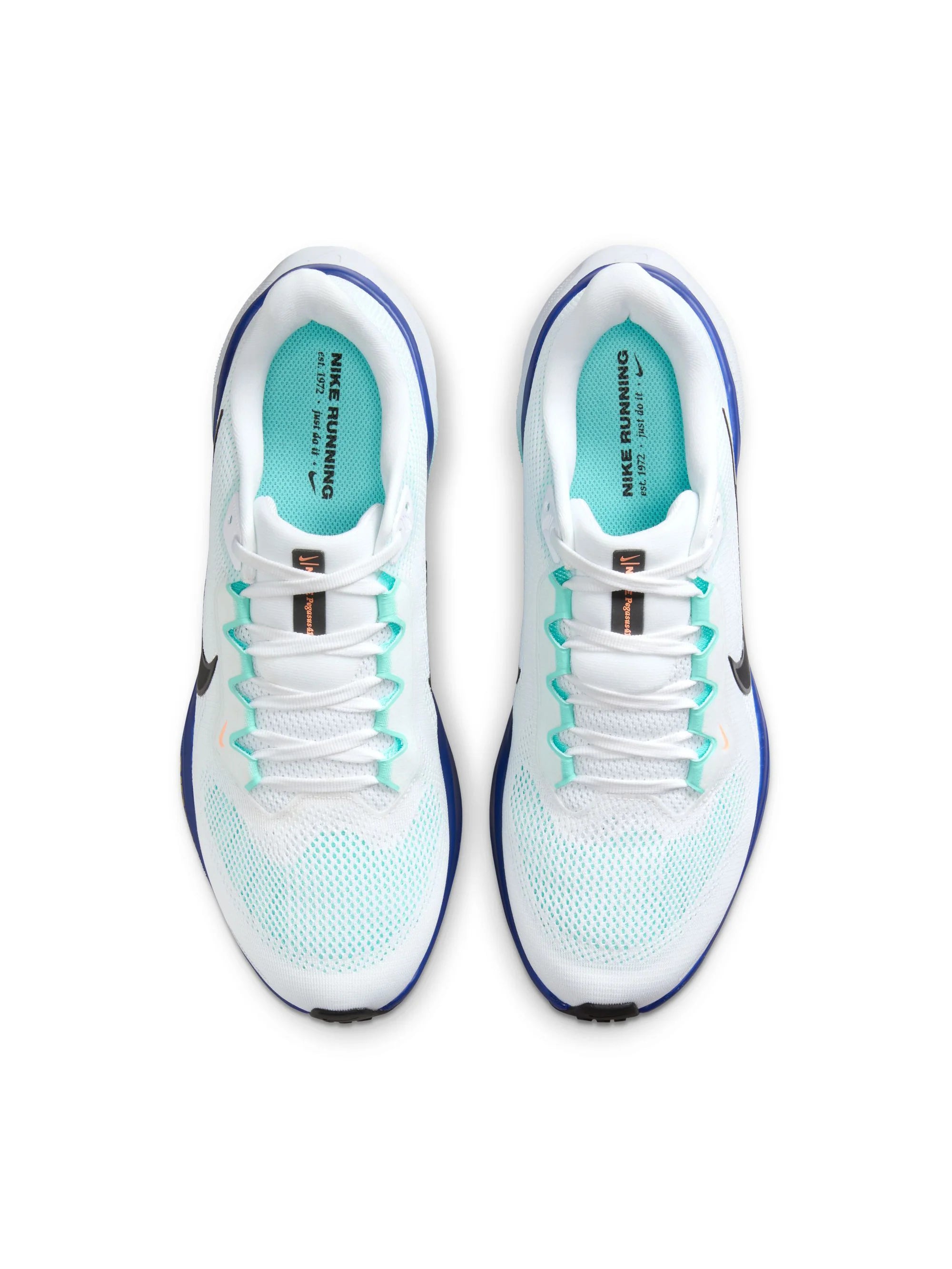 Nike Air Zoom Pegasus 41 Mens Shoes