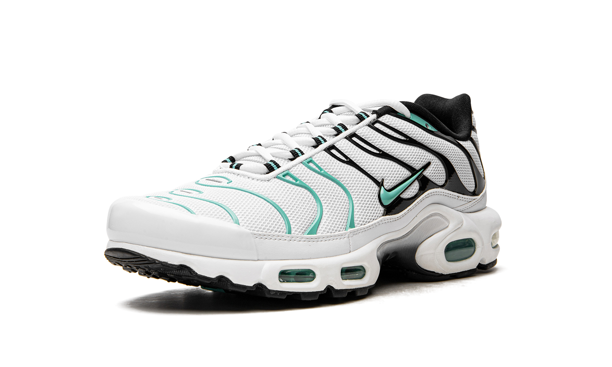 Air Max Plus "Atmos" 604133 148
