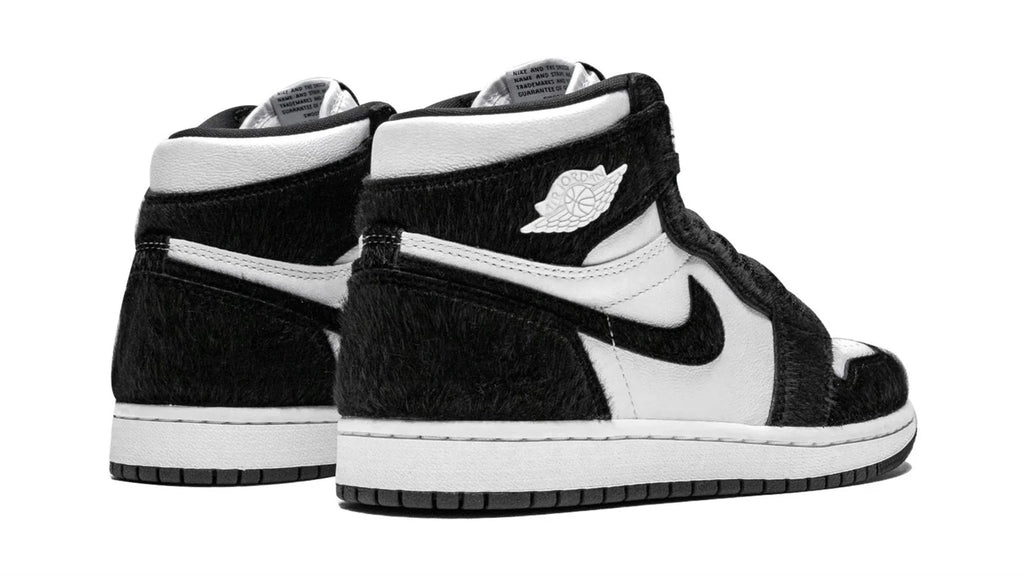 AIR JORDAN 1 RETRO HIGH OG WMNS Twist