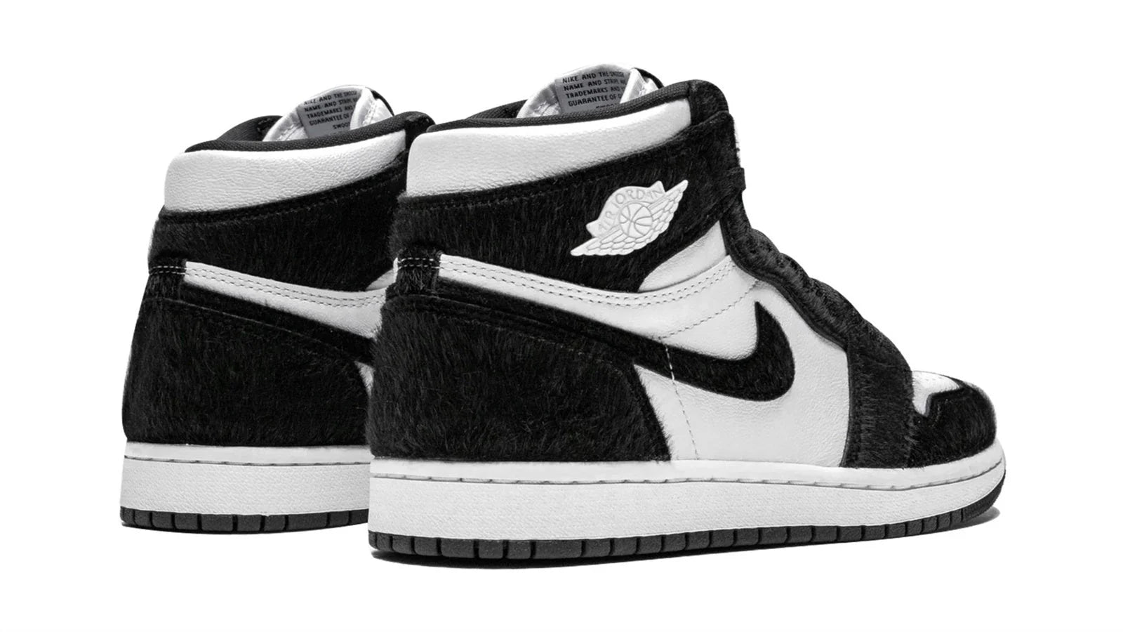 AIR JORDAN 1 RETRO HIGH OG WMNS Twist