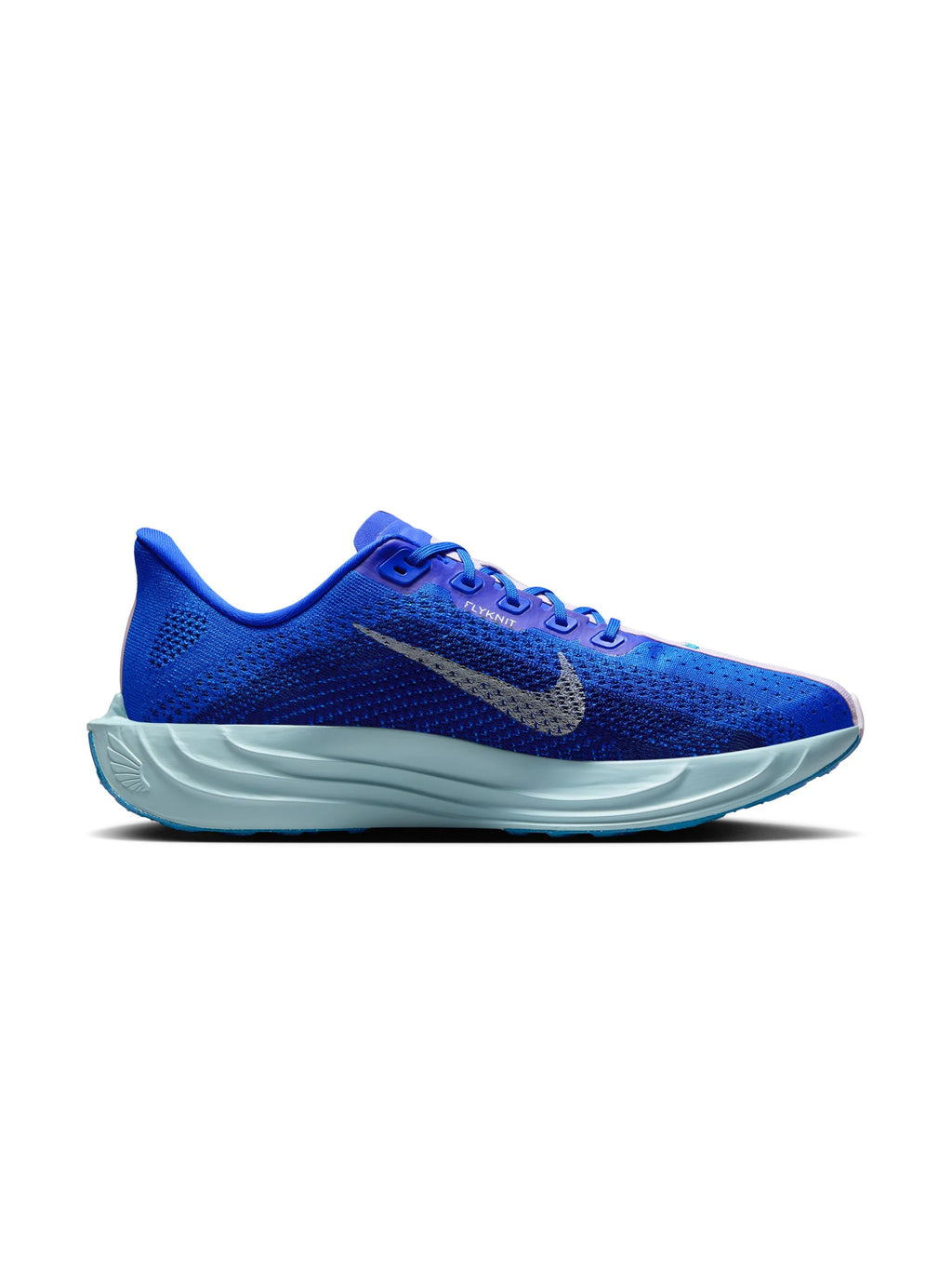 Nike Pegasus Plus Mens Shoes