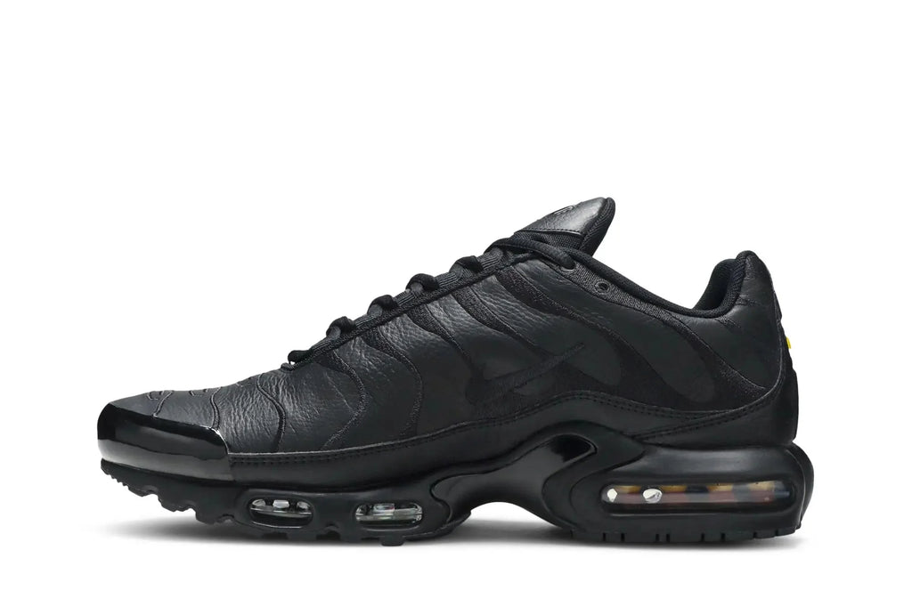 Air Max Plus TN Triple Black
