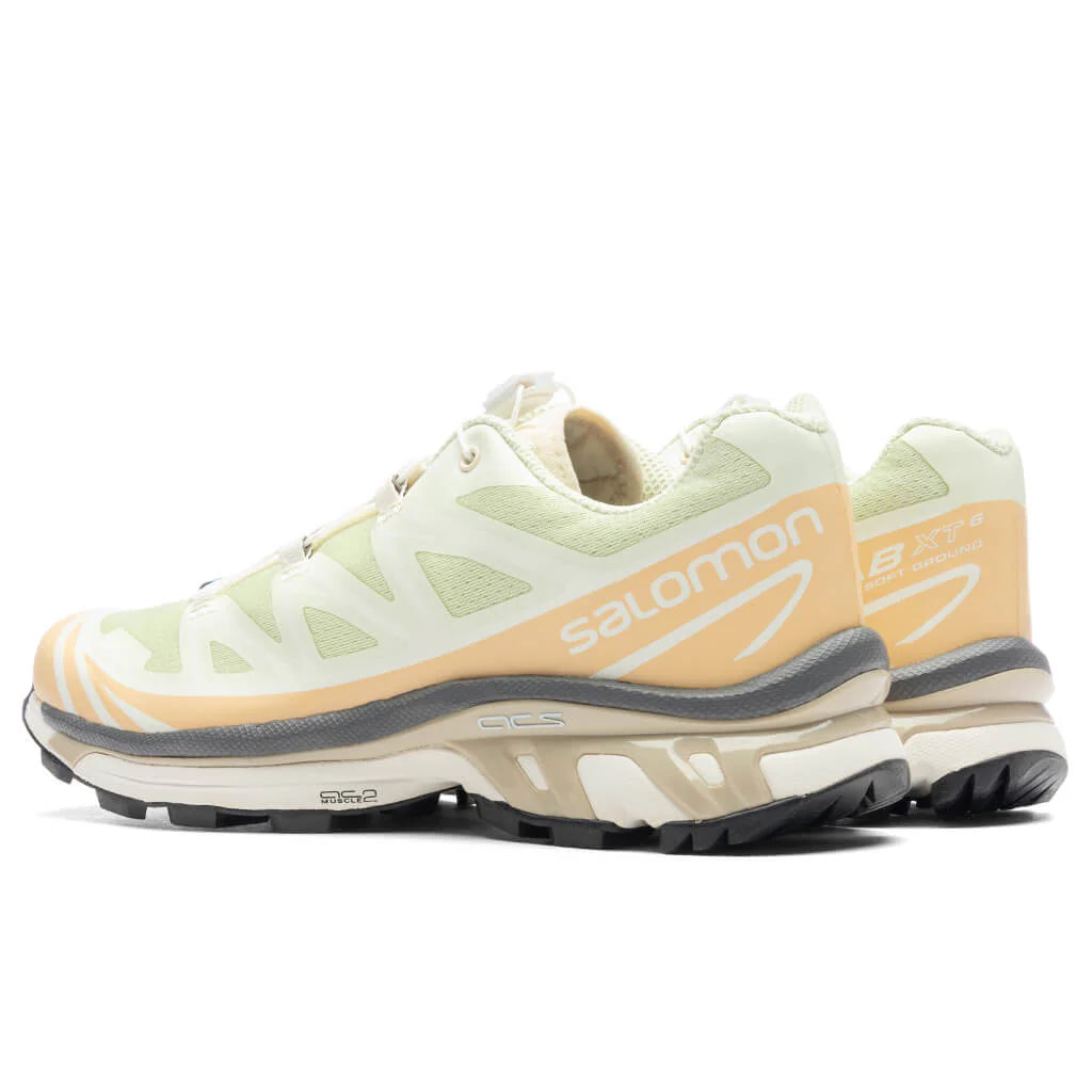XT 6 Aloe Wash Hazelnut Feather Grey